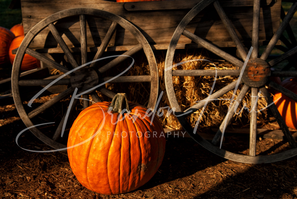 Pumpkin Wheel Art | Brandon Hirt Photo