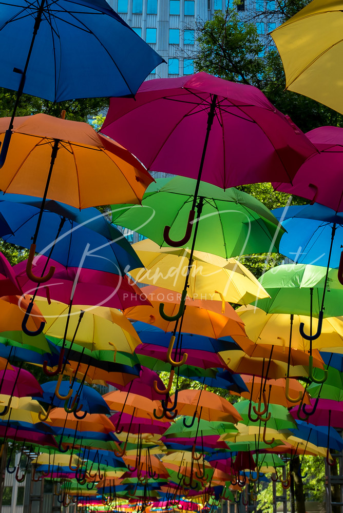 Umbrella Downtown Art | Brandon Hirt Photo