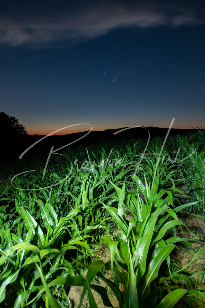 Comet Neowise in a corn field in Pennsylvania