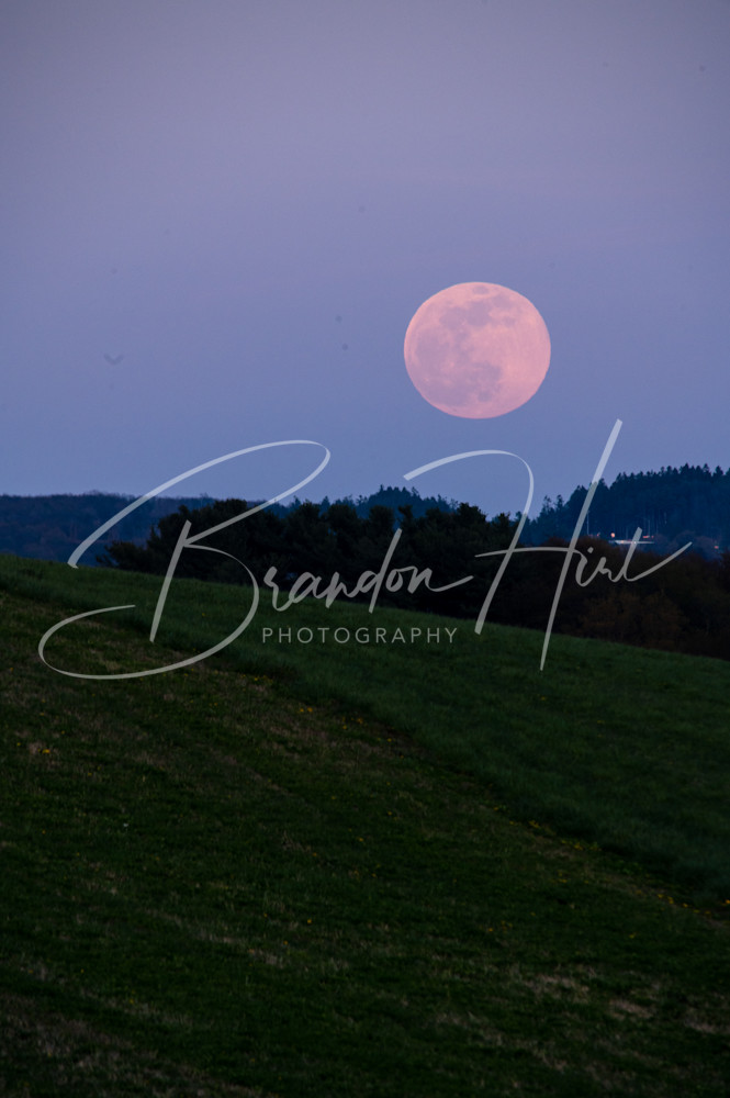 Pink Super Moon Field Photography Art | Brandon Hirt Photo