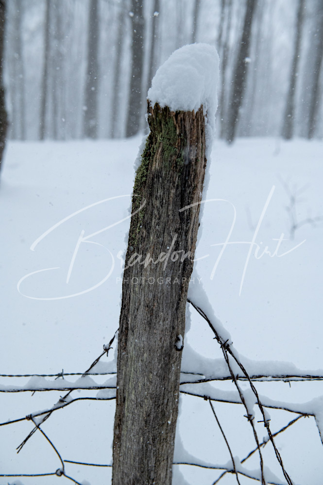 Snow Post Art | Brandon Hirt Photo