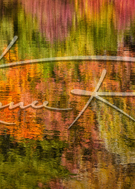 Reflections Of Fall Photography Art | Lance Rosol Fine Art Photography