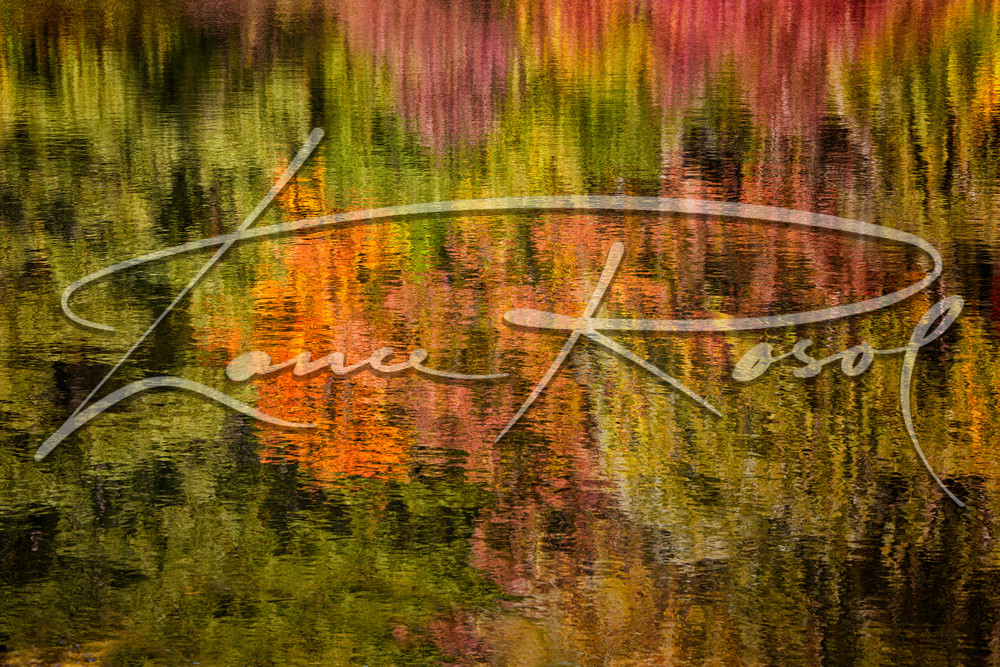 Reflections Of Fall Photography Art | Lance Rosol Fine Art Photography