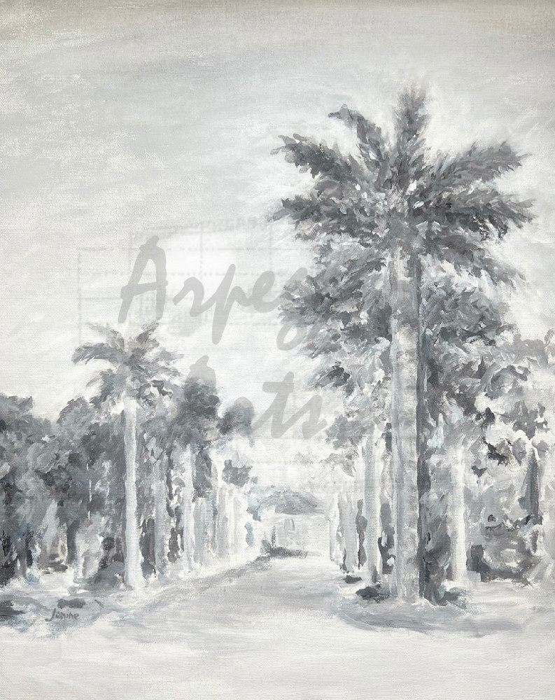 Palms Bw Art | Arpeggio Arts