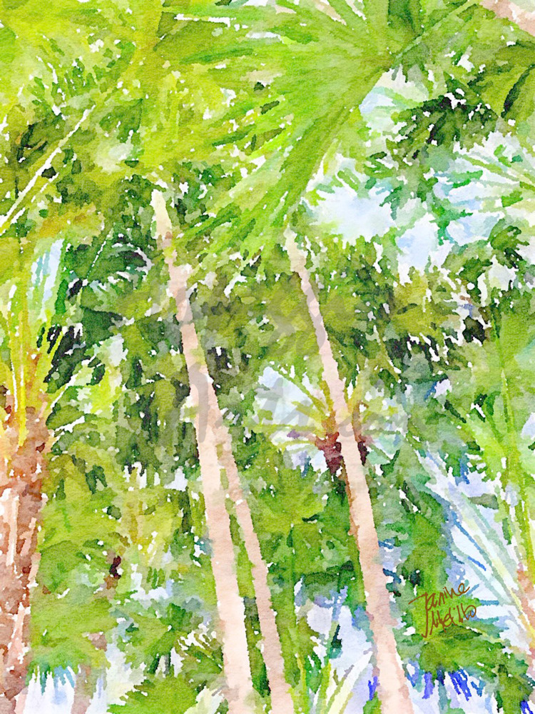 Palm Canopy3 Art | Arpeggio Arts