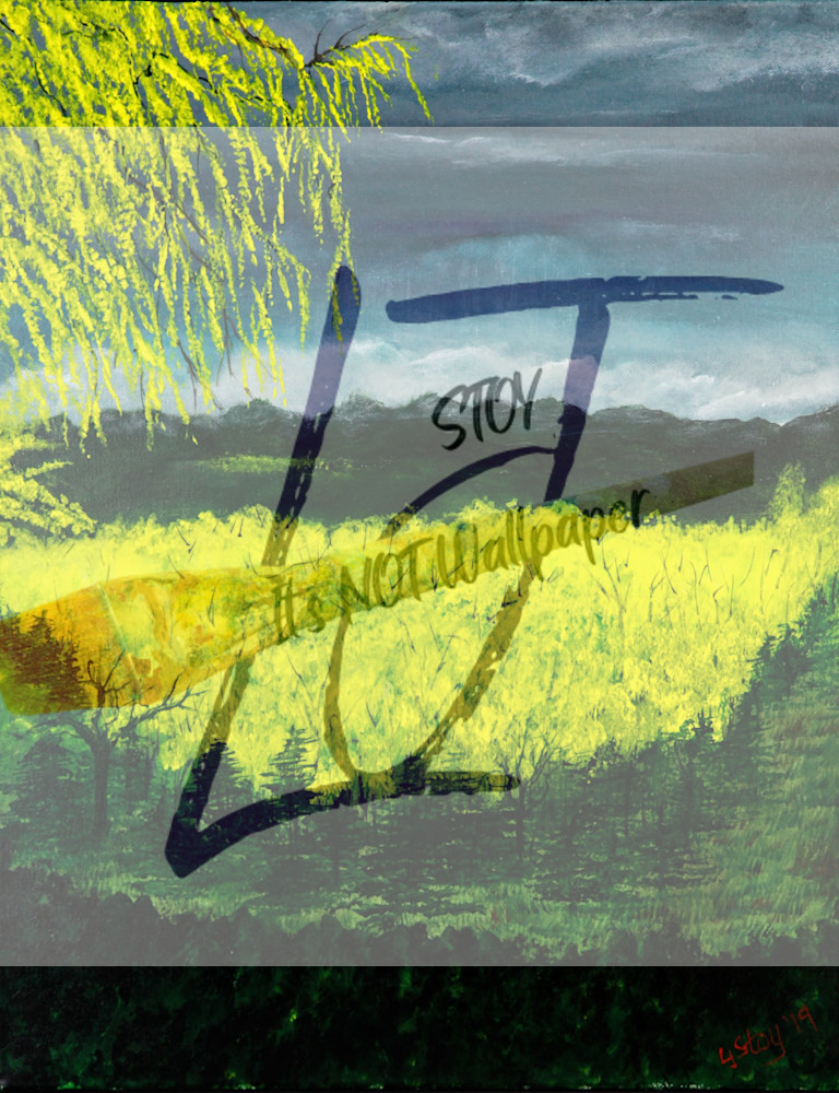 Light In The Storm Art | It's Not Wallpaper LLC / DBA LJStoy on Canvas
