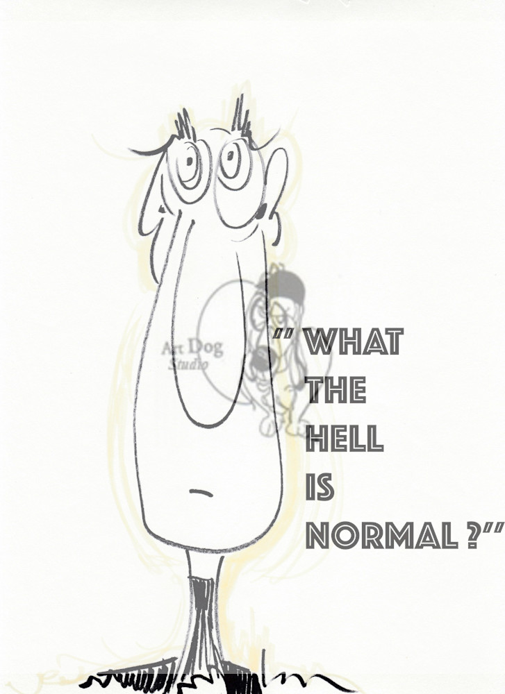 What The Hell Is Normal ? Art | ArtDog Studio