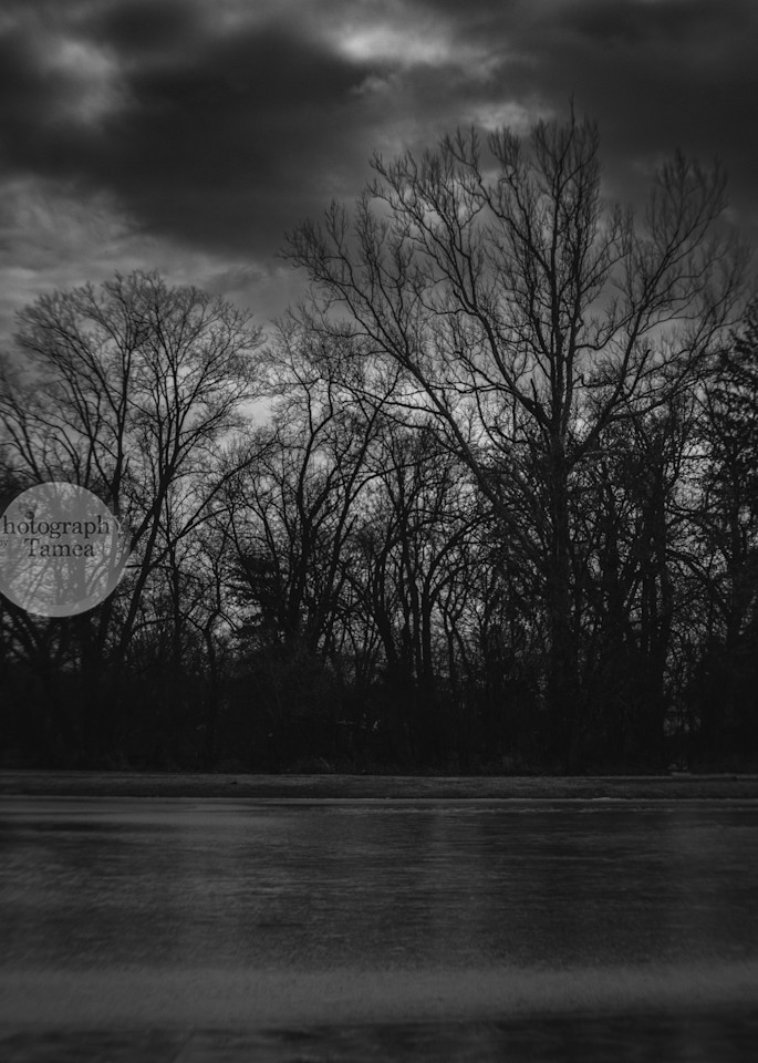 Ice In The Storm   Black And White Photography Art | Tamea Travels