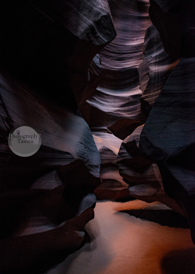  Passing Through To The Light Photography Art | Tamea Travels