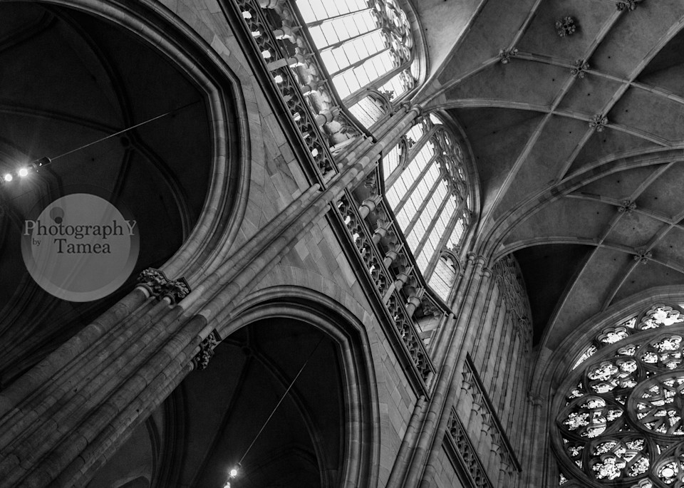 Light in the Cathedral in Black and White - Art print - Tamea Photography 