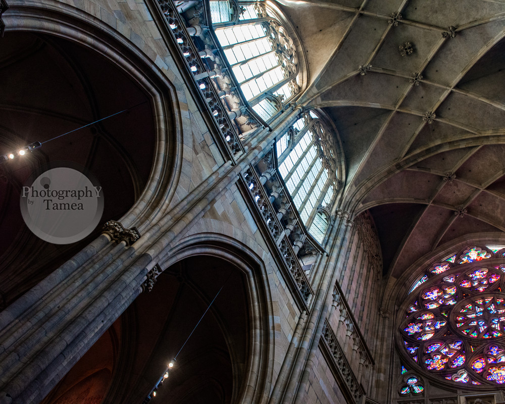 Light in the Cathedral  - Art print - Tamea Photography 