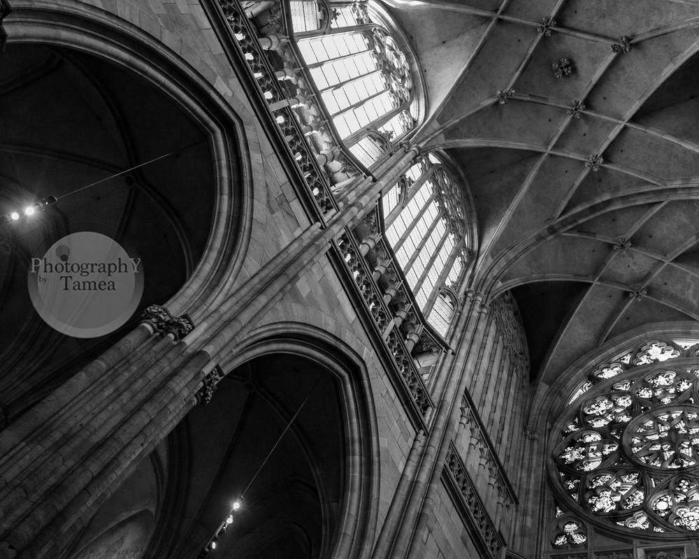 Light in the Cathedral in Black and White - Art print - Tamea Photography 