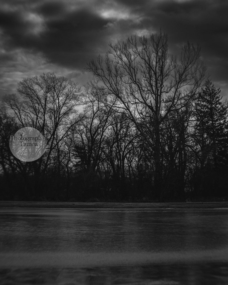 Ice In The Storm   Black And White Photography Art | Tamea Travels