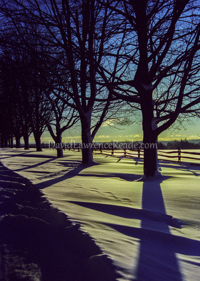 Winter Shadows Photography Art | David Lawrence Reade