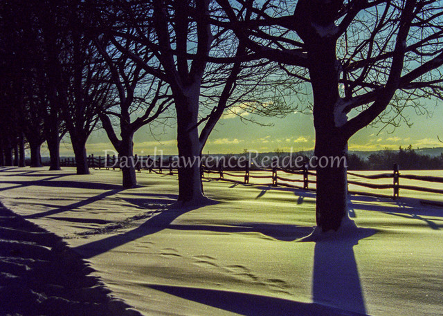 Winter Shadows Photography Art | David Lawrence Reade
