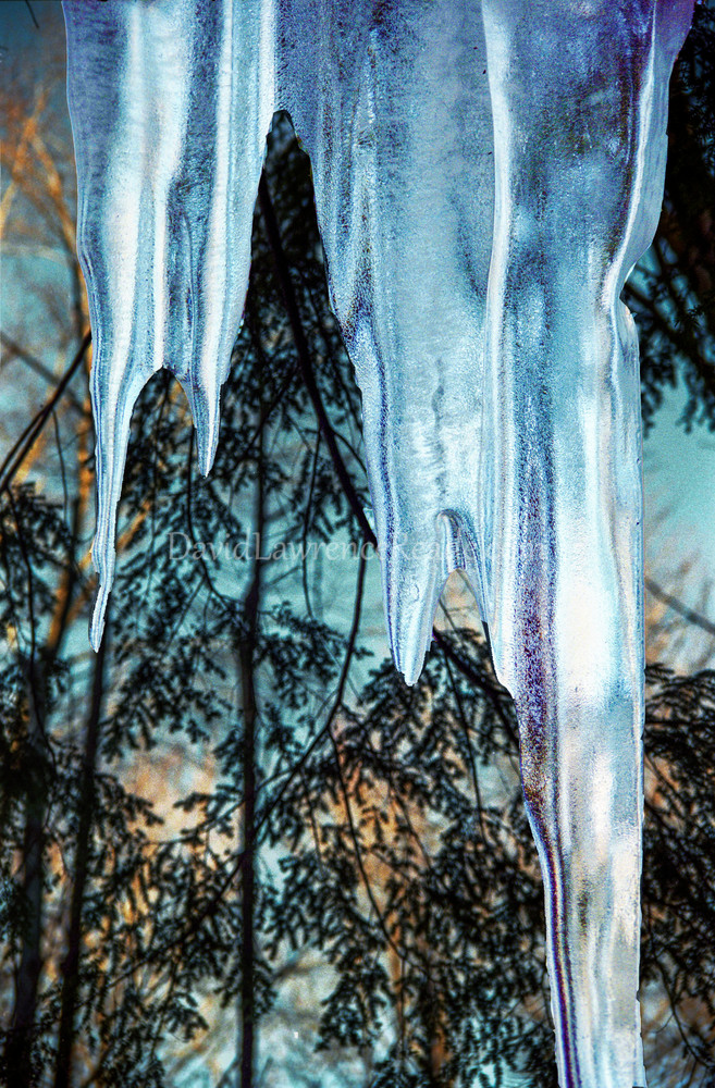 Ice Sculpture Art | David Lawrence Reade
