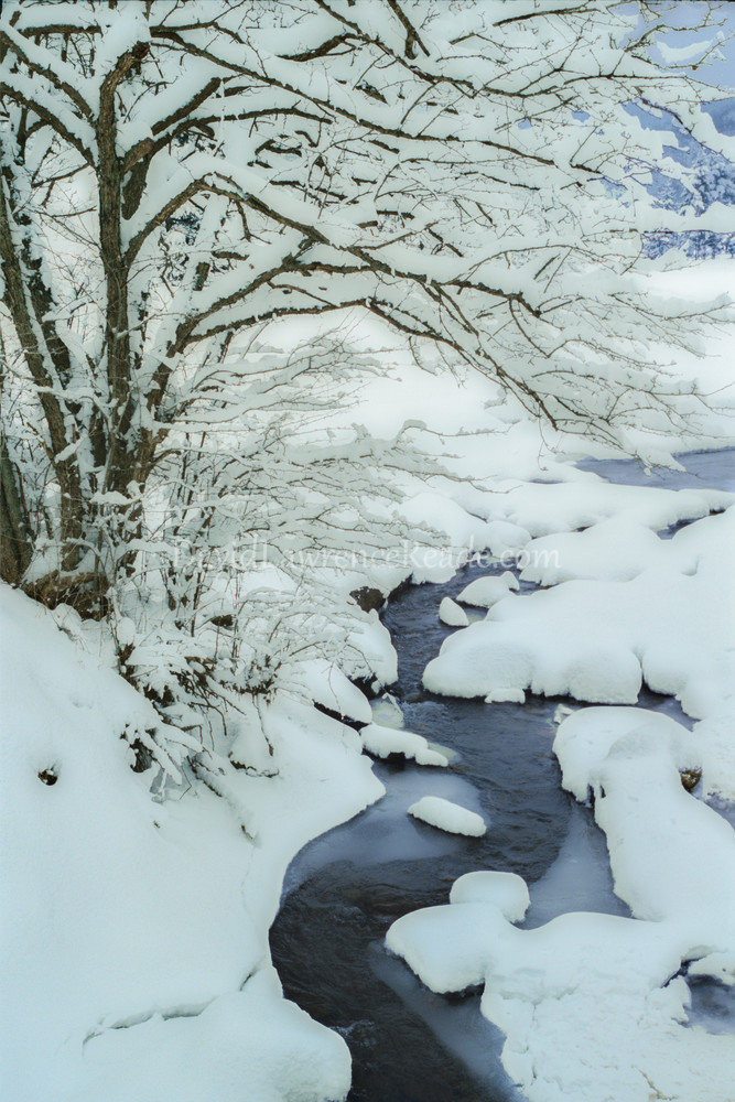 Winter Creek Photography Art | David Lawrence Reade Winter Creek Photography Art | David Lawrence Reade