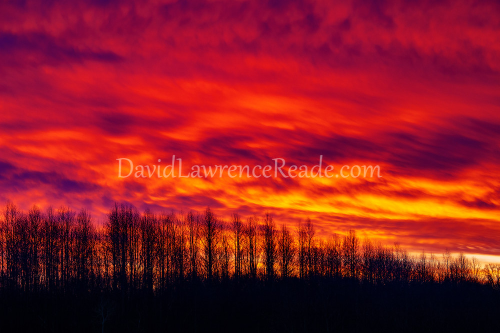Fire In The Sky Art | David Lawrence Reade