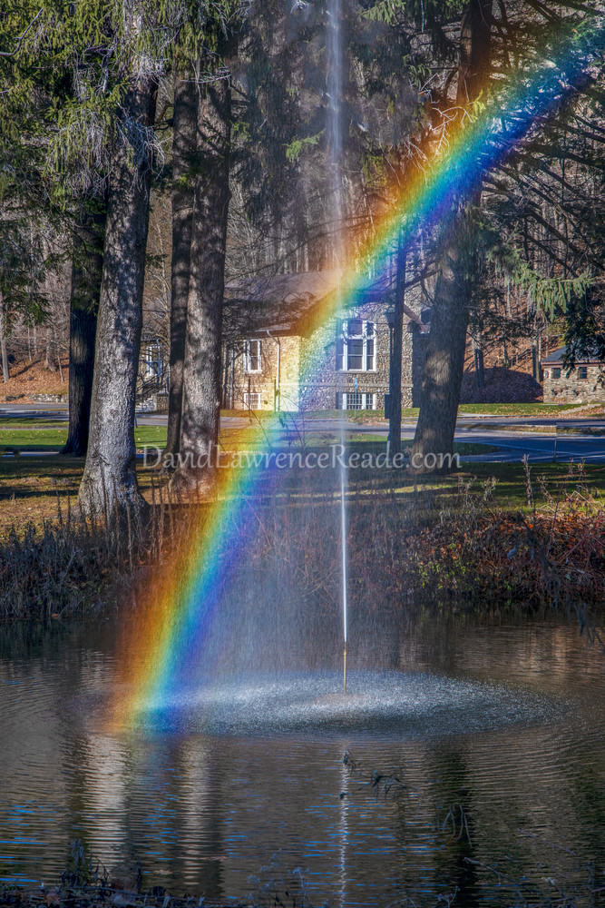 Iris Rainbow Photography Art | David Lawrence Reade