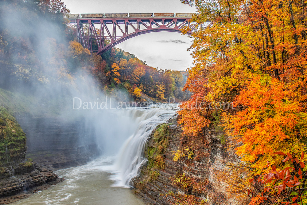 Fall Falls And Train Art | David Lawrence Reade