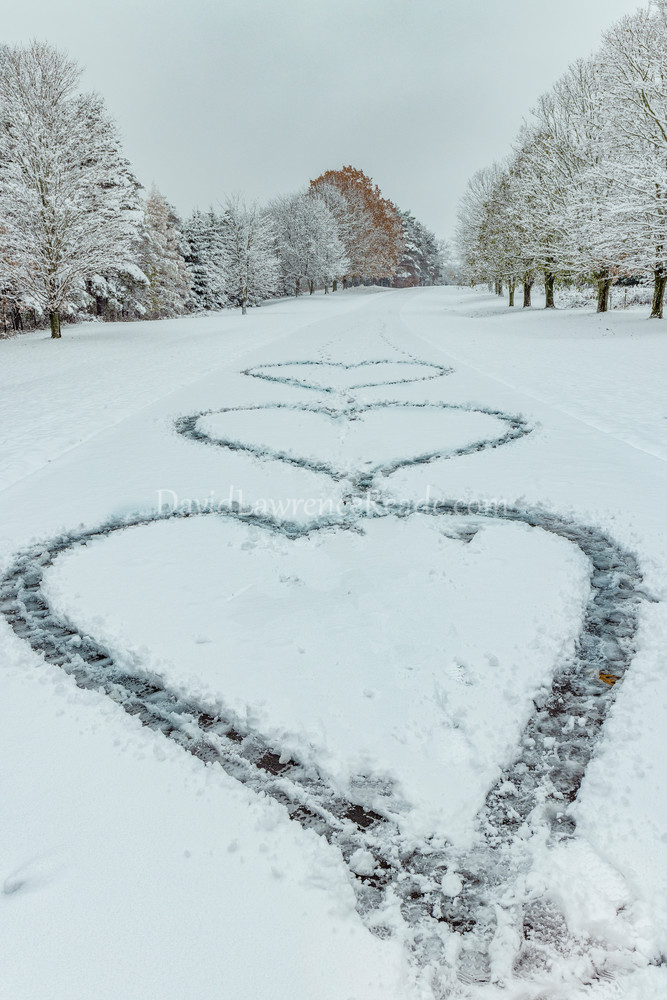 The Heart Of Winter Art | David Lawrence Reade
