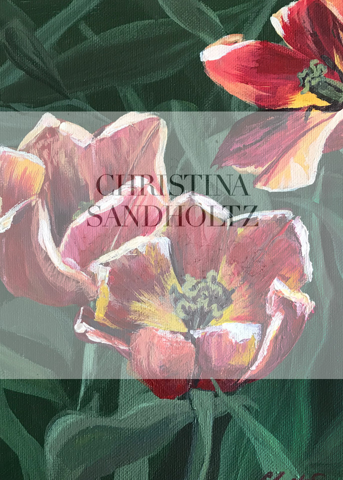 Fading Bloom Art | Christina Sandholtz Art