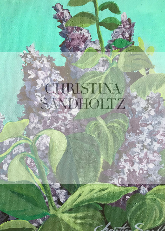 Lilacs Art | Christina Sandholtz Art
