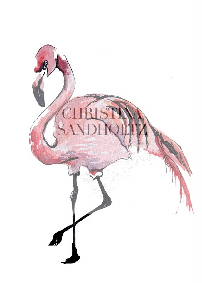 Flamingo Art | Christina Sandholtz Art