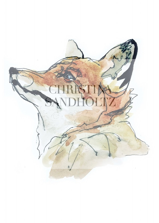 Fox Bust Art | Christina Sandholtz Art
