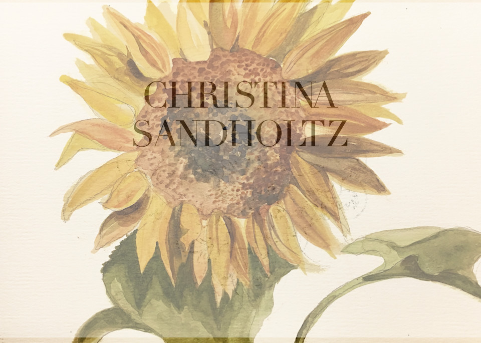 Sunflower Art | Christina Sandholtz Art