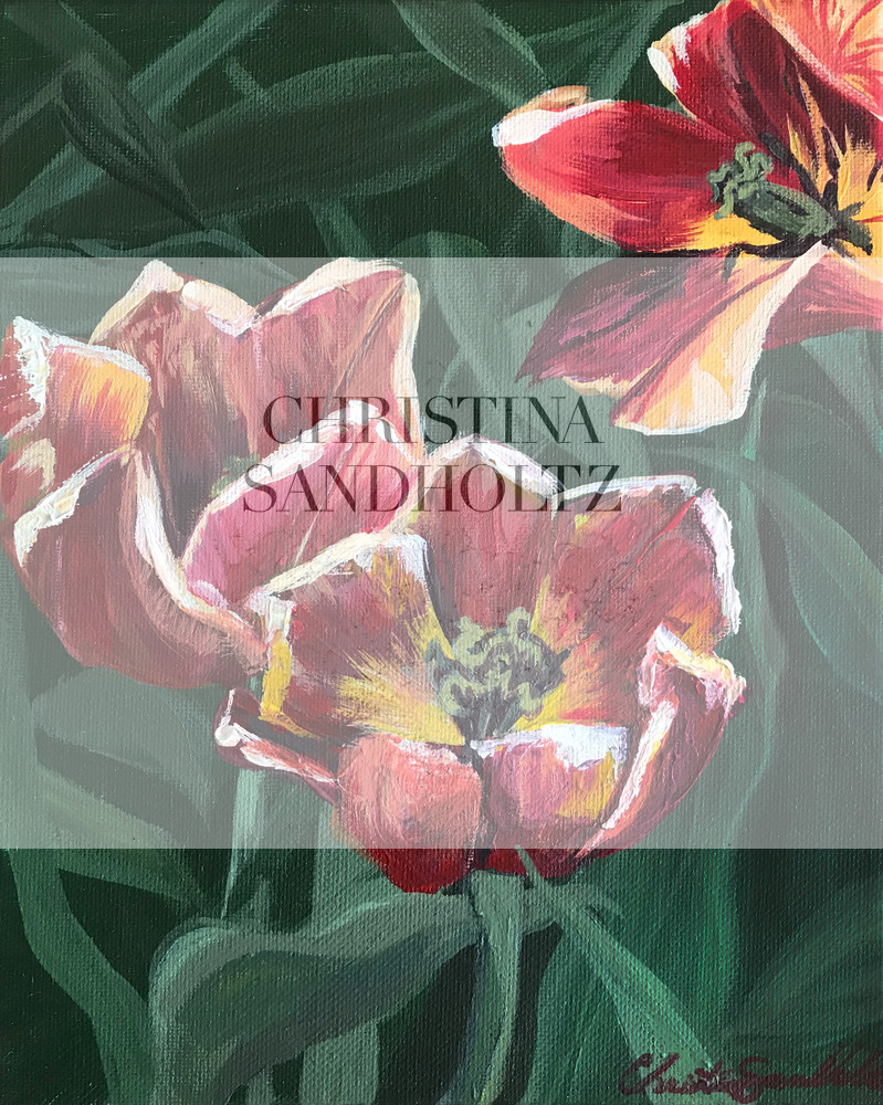 Fading Bloom Art | Christina Sandholtz Art