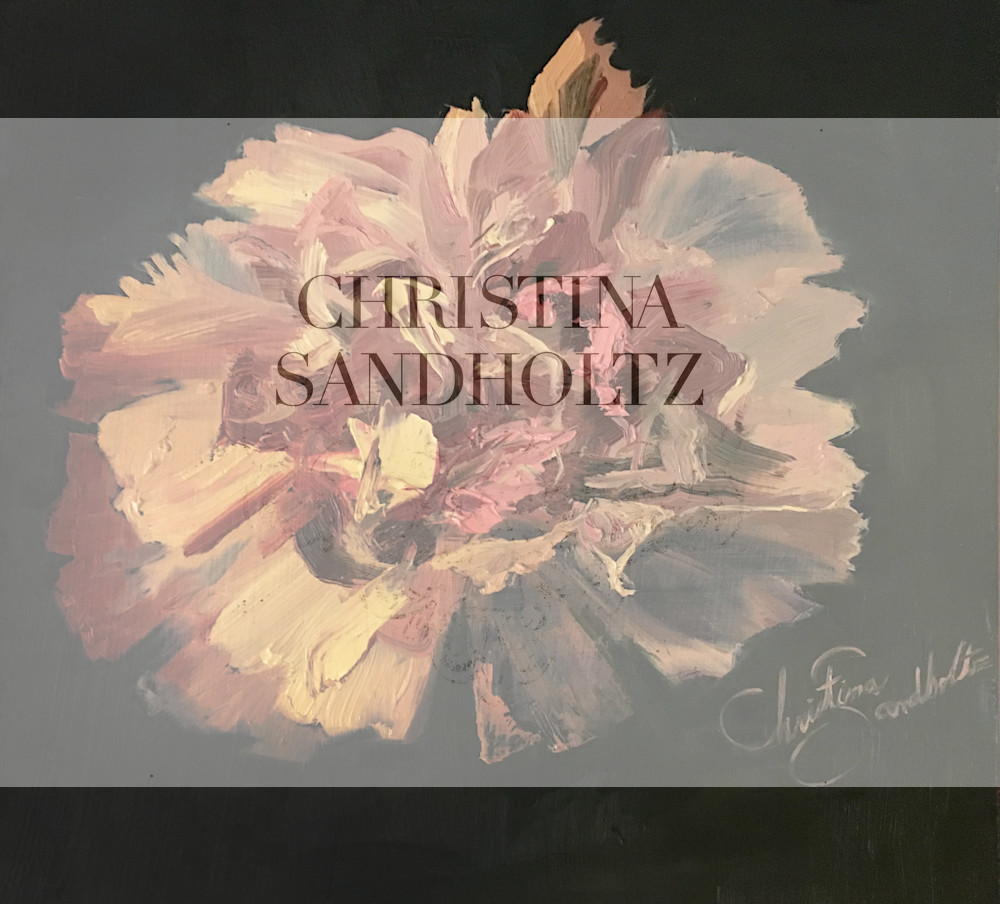 Carnation Art | Christina Sandholtz Art