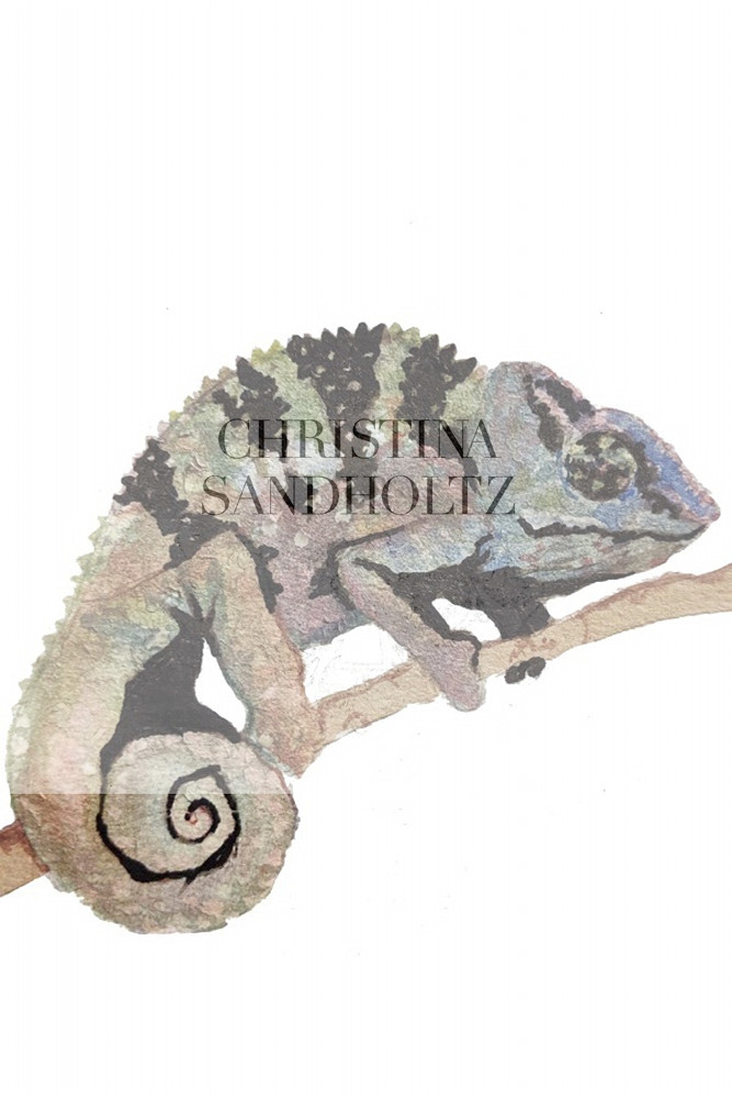 Chameleon Art | Christina Sandholtz Art