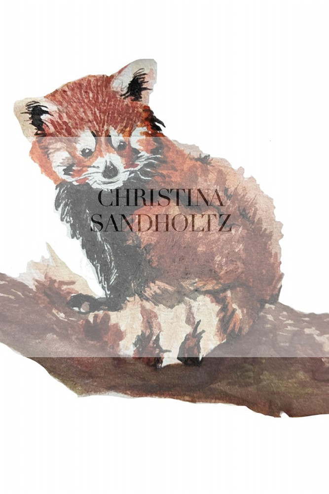 Red Panda Art | Christina Sandholtz Art