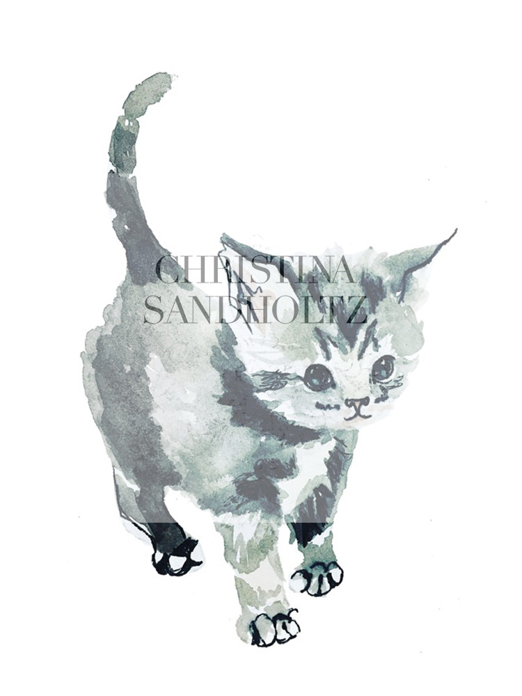 Gray Kitten Art | Christina Sandholtz Art