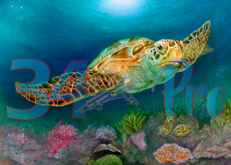Sea Turtle Ii Art | 34 Pro, LLC
