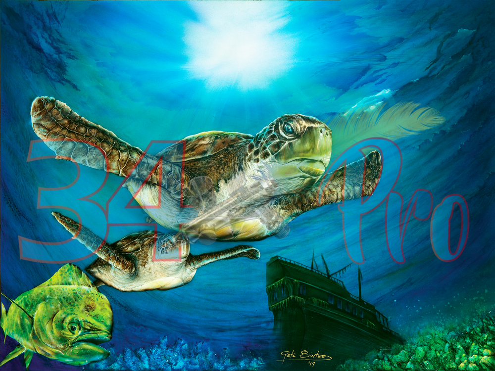 Sea Turtle Iii Art | 34 Pro, LLC