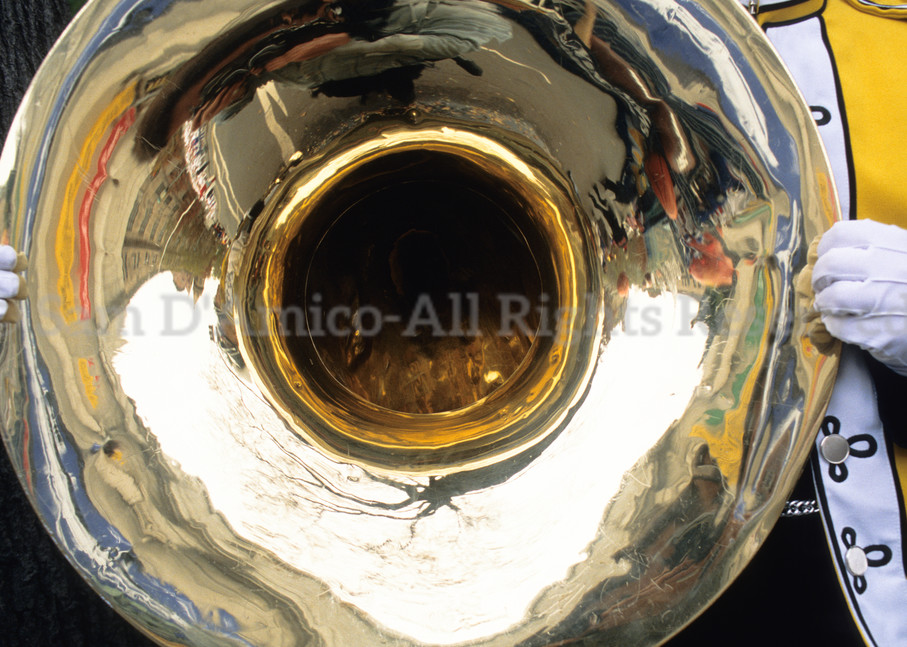 Musician And Tuba. New York, NY.