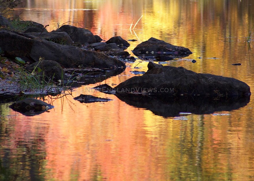 fall colorful leaves foliage golden reflections