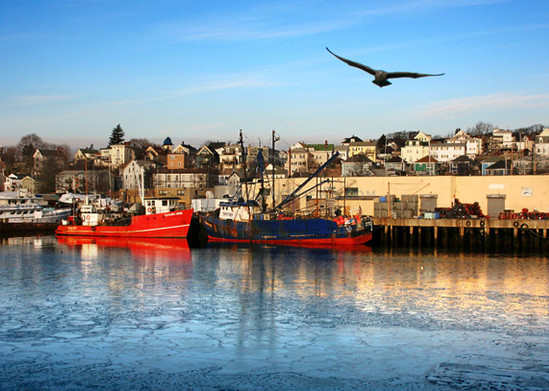 gloucester harbor panorama fishing boats gull