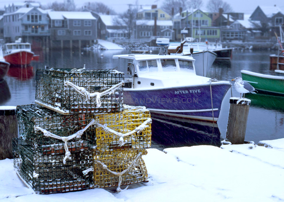 lobstertrap snow seagull fishing boats rockport harbor