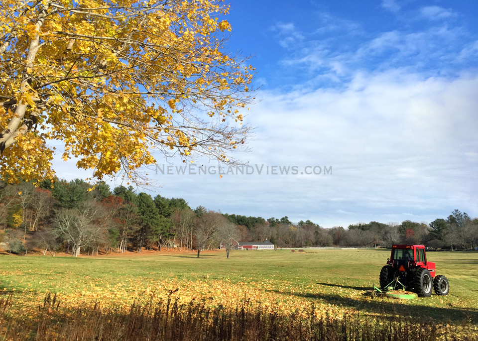 Blue Sky, Yellow Tree, Red Tractor,