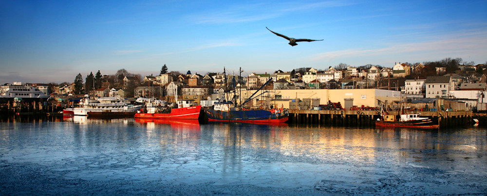 gloucester harbor panorama fishing boats gull
