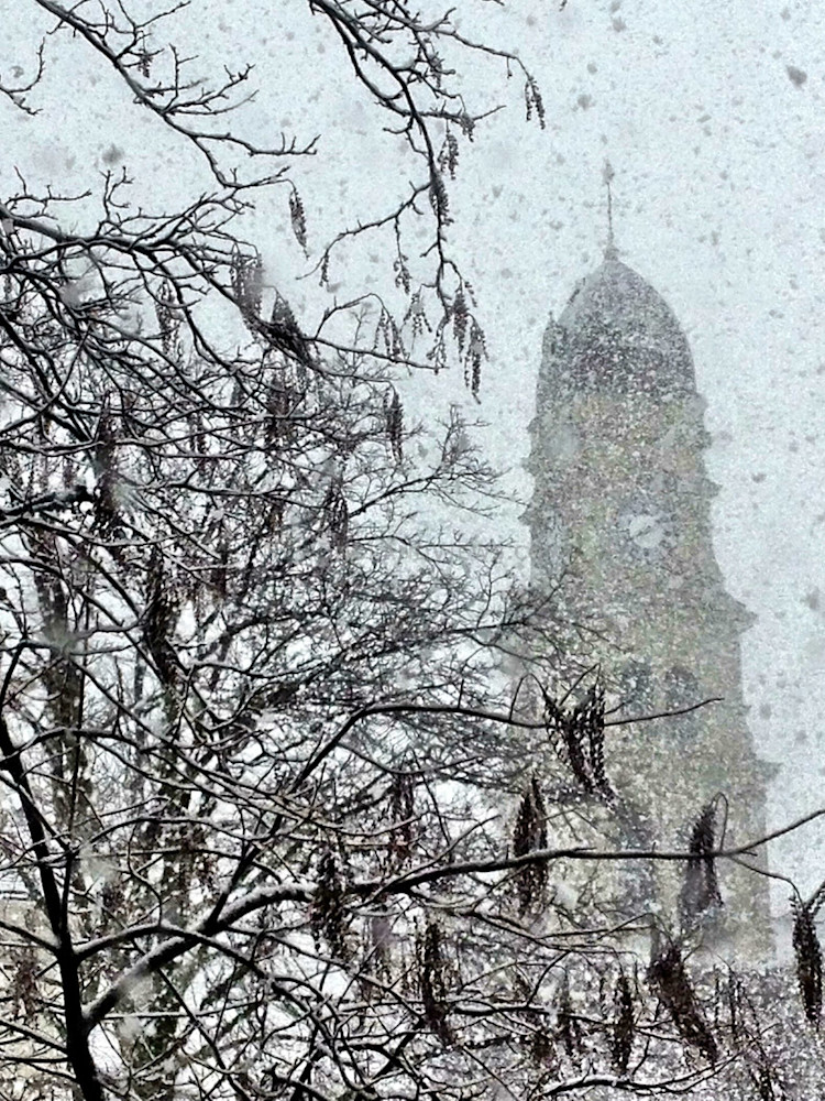 gloucester city hall snow