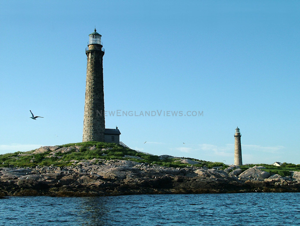 twinlights lighthouse thatcher's island gull rockport seascape close up