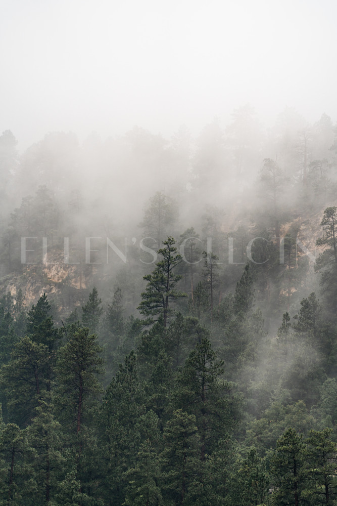Canyon Fog Photography Art | Ellen's Collection