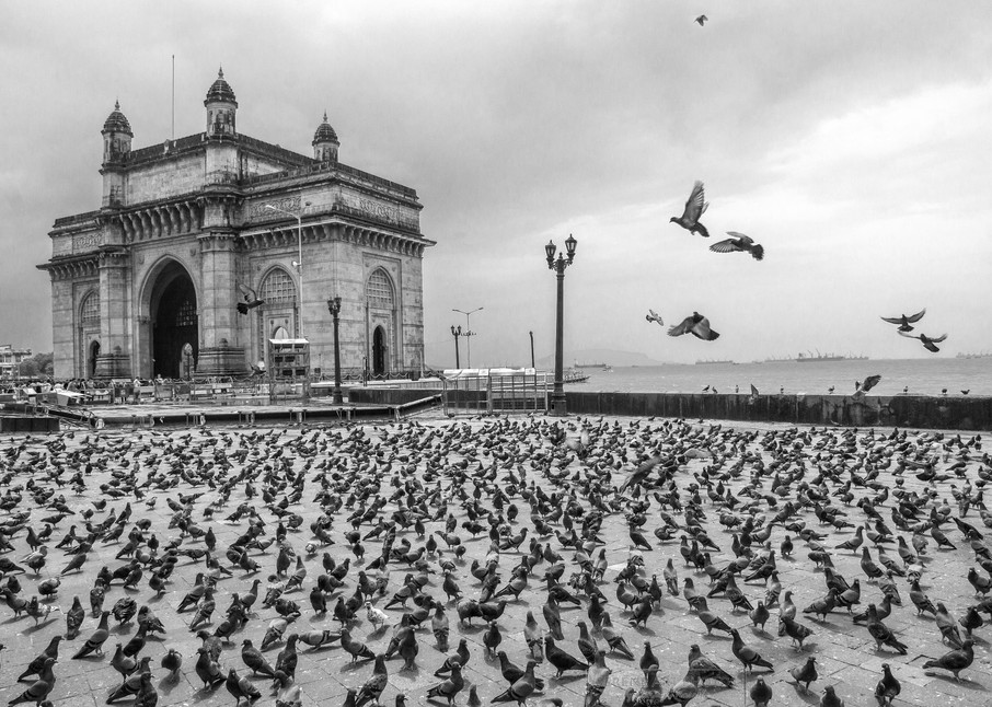 Buy Fine Art Photo Of Mumbai Cityscape 'Pigeons At Gateway-1'