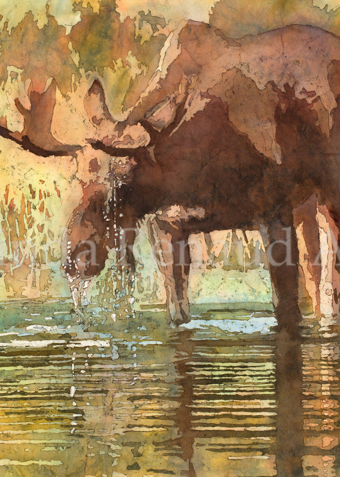 Streaming water from bull moose prints