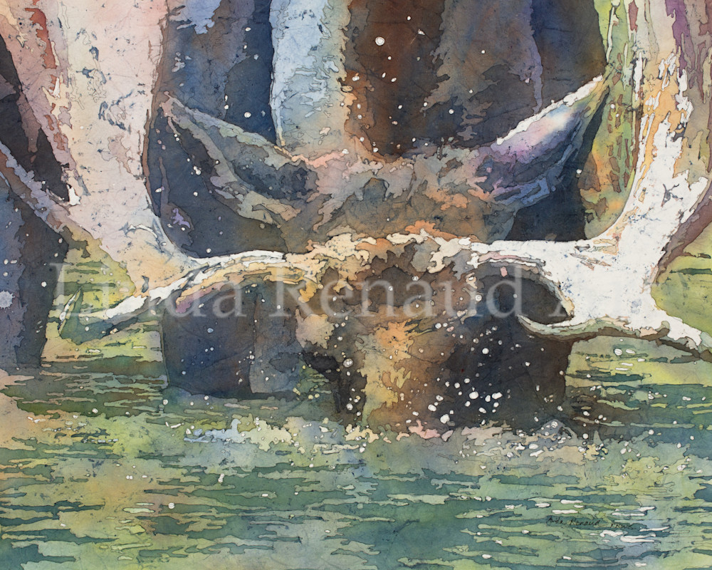 Art prints of water bubbles flying from moose head
