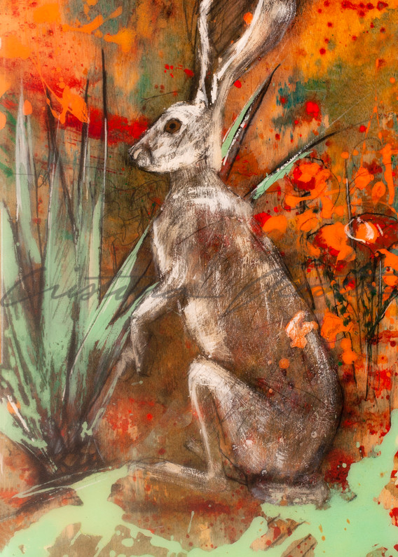Hare by yucca in California Poppies